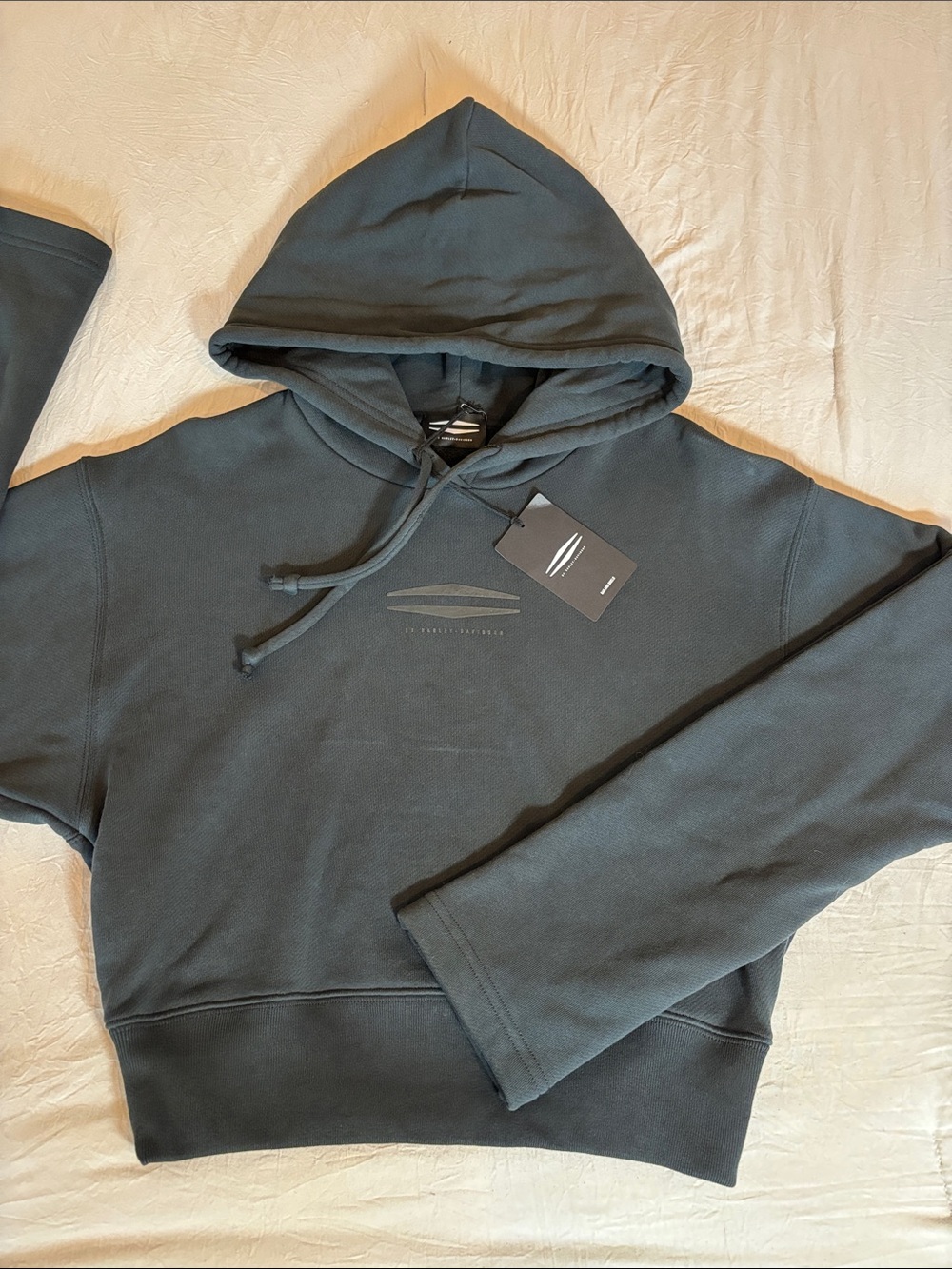 Harley-Davidson Pullover Hoodie in soft Black Size Small